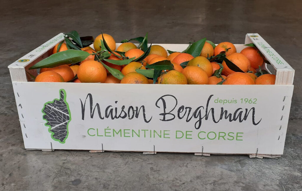 Les clémentines Corse Bio de la Maison Berghman