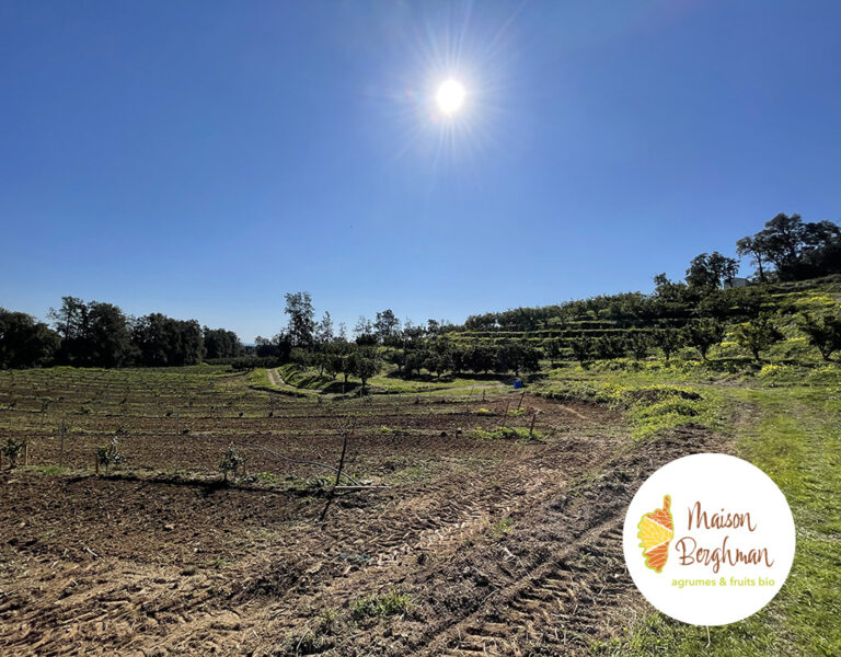 La gestion de l'irrigation Berghman Agrumes Bio Corse