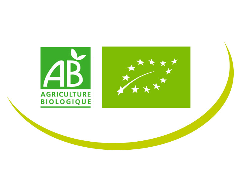 Logo AB et euro feuilles